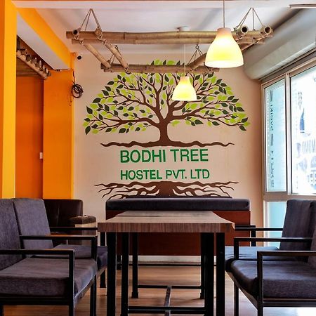 Bodhi Tree Hostel カトマンズ エクステリア 写真