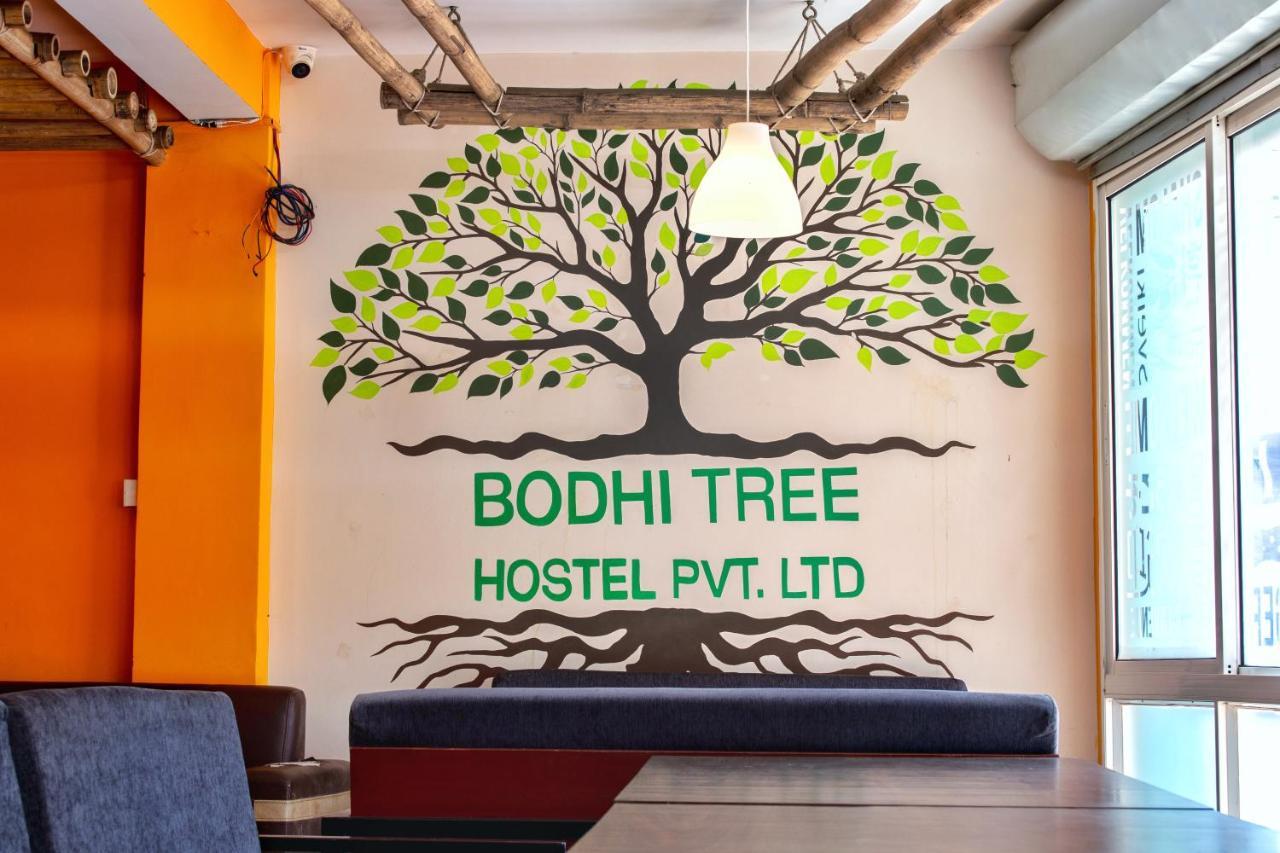 Bodhi Tree Hostel カトマンズ エクステリア 写真