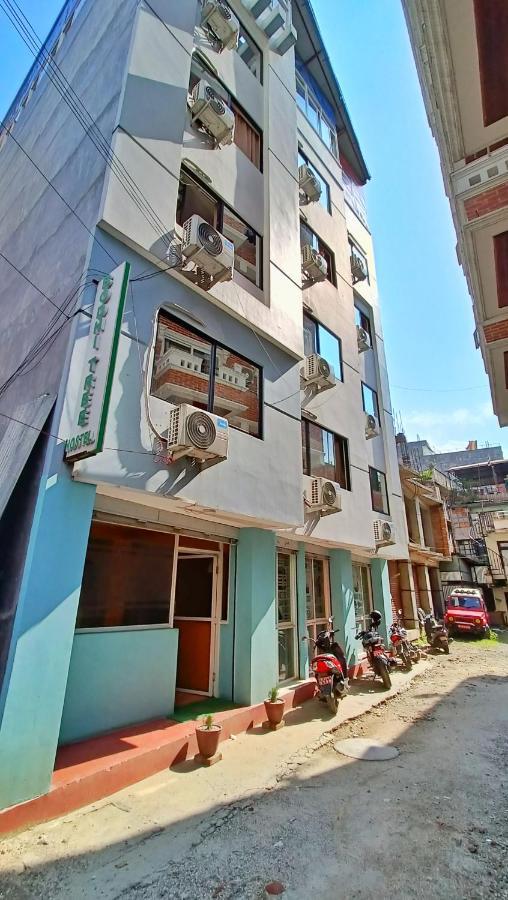 Bodhi Tree Hostel カトマンズ エクステリア 写真